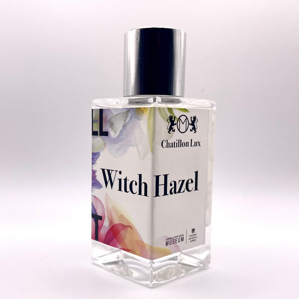 Witch Hazel - Sachs Museum Exhibit at Missouri Botanical Garden