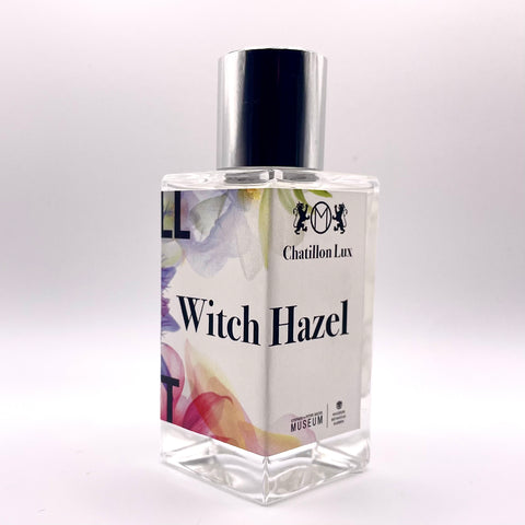 Witch Hazel - Sachs Museum Exhibit at Missouri Botanical Garden